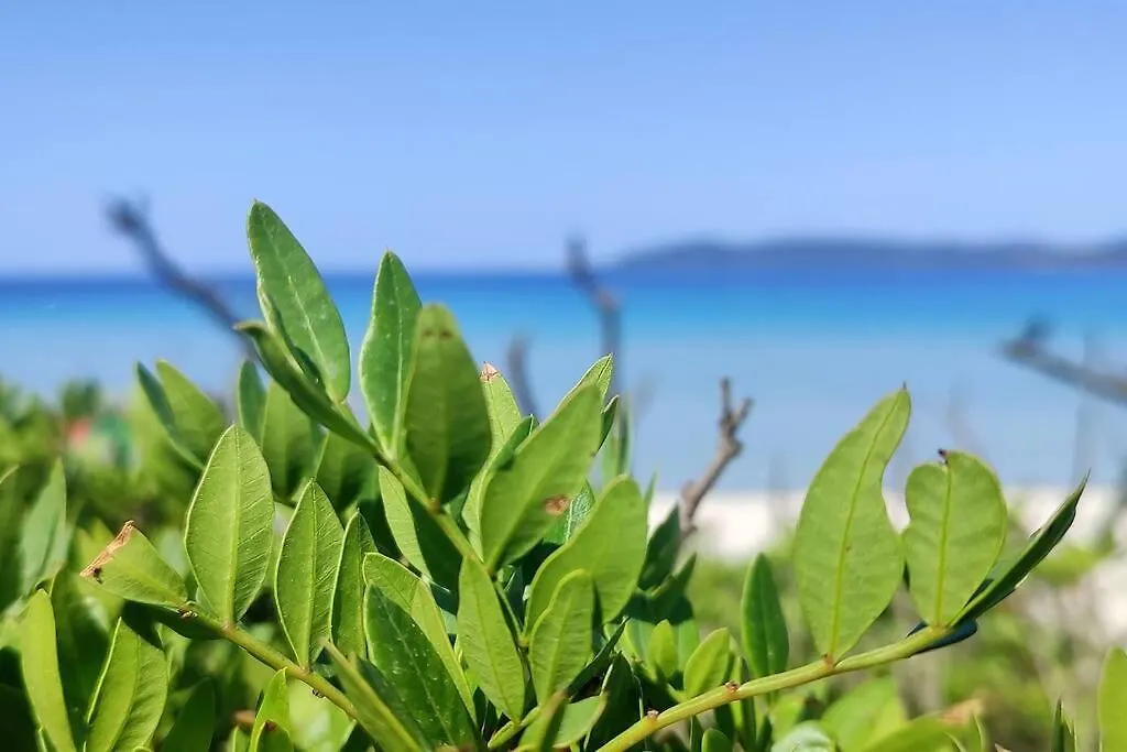 Casa Vacanze Gente Di Mare 알게로 아파트